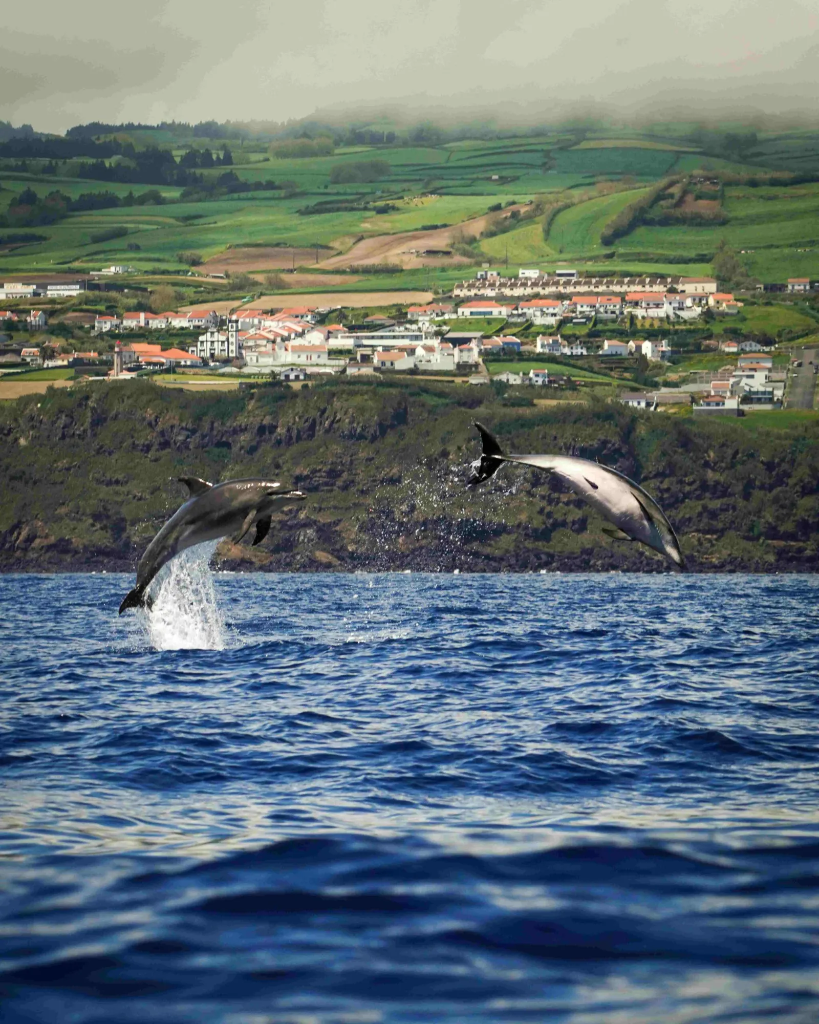 Îles Canaries